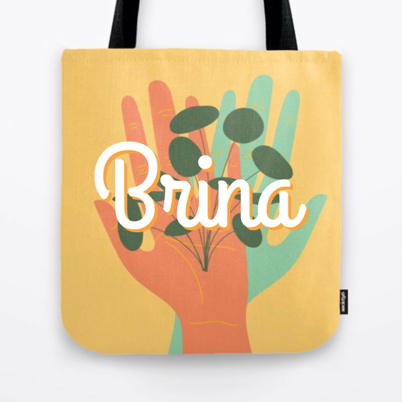 Brina Schenk on Society6 - artwork, illustrations on fresh and cool home products